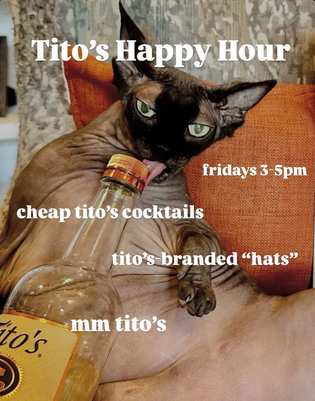 On Fridays, in addition to our regular happy hour, we have Tito&rsquo;s Happy Hour, featuring $10 Tito&rsquo;s mules &amp; more! Ask for a cool hat.
@titosvodka 
#titosvodka #happyhour #localbar #coolhat #titosandvodka