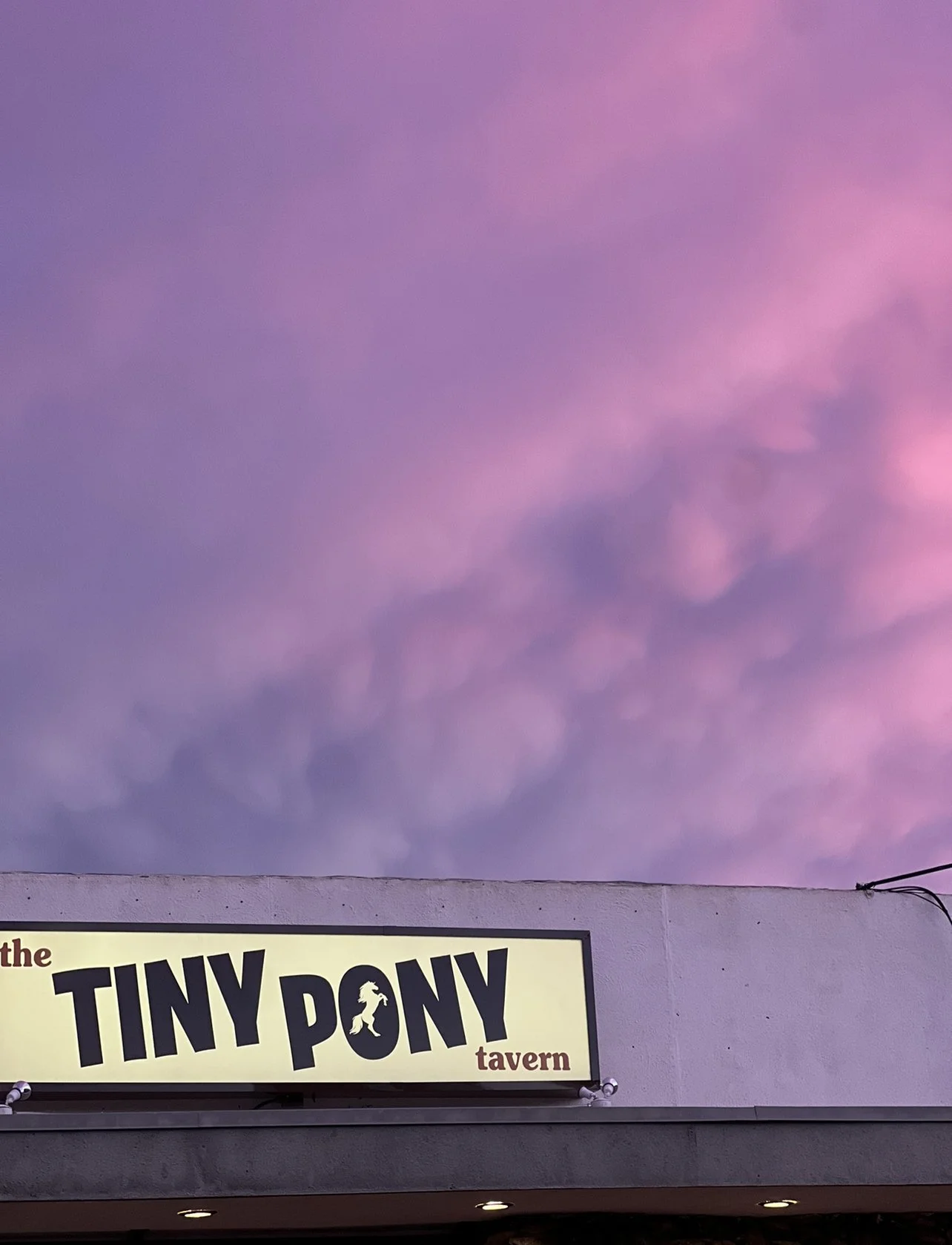 The Tiny Pony Tavern sign under a pink and purple sky