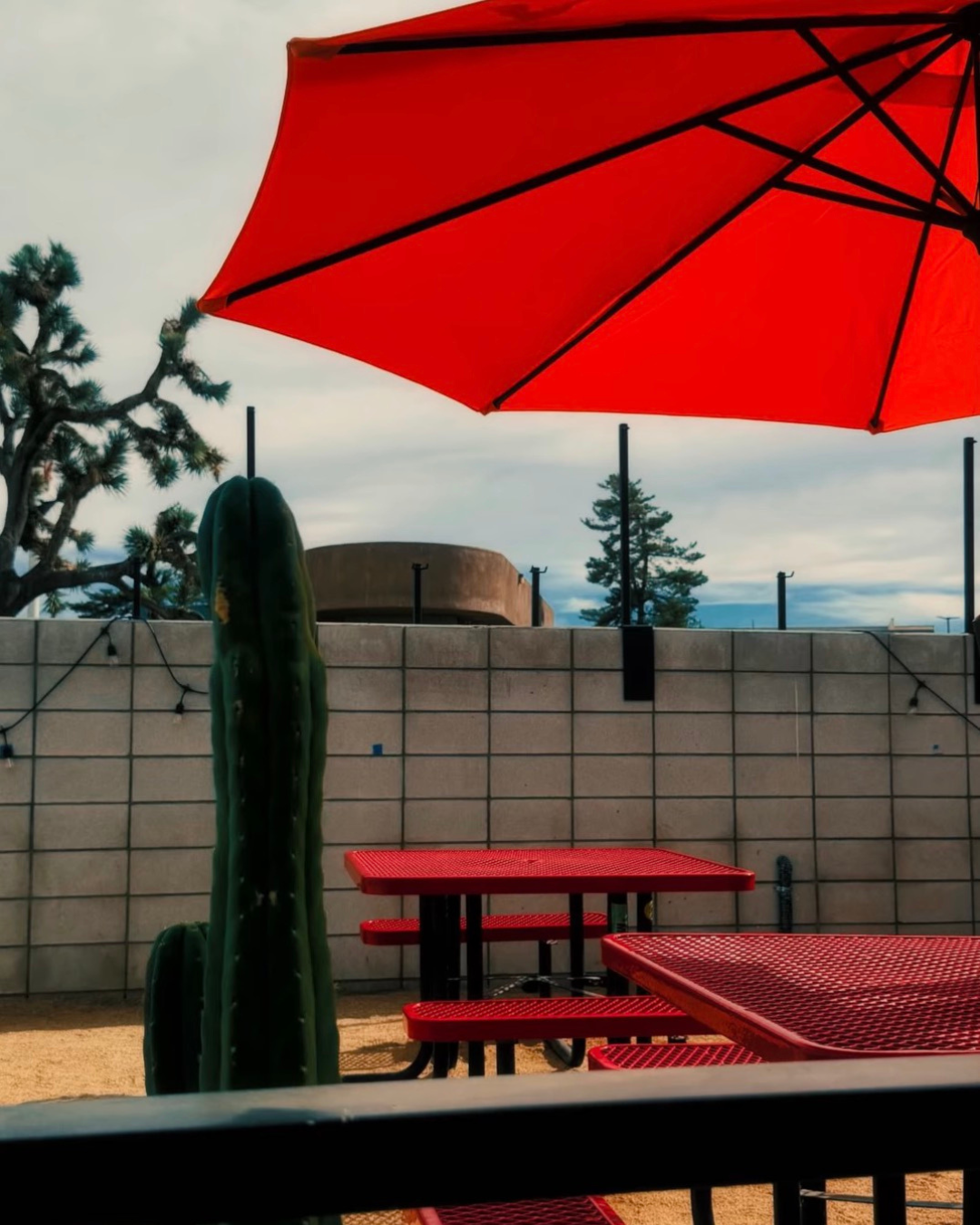 A backyard patio with cactus, red tables, a red umbrella, a grey wall, and string lights, with a joshua tree in the background