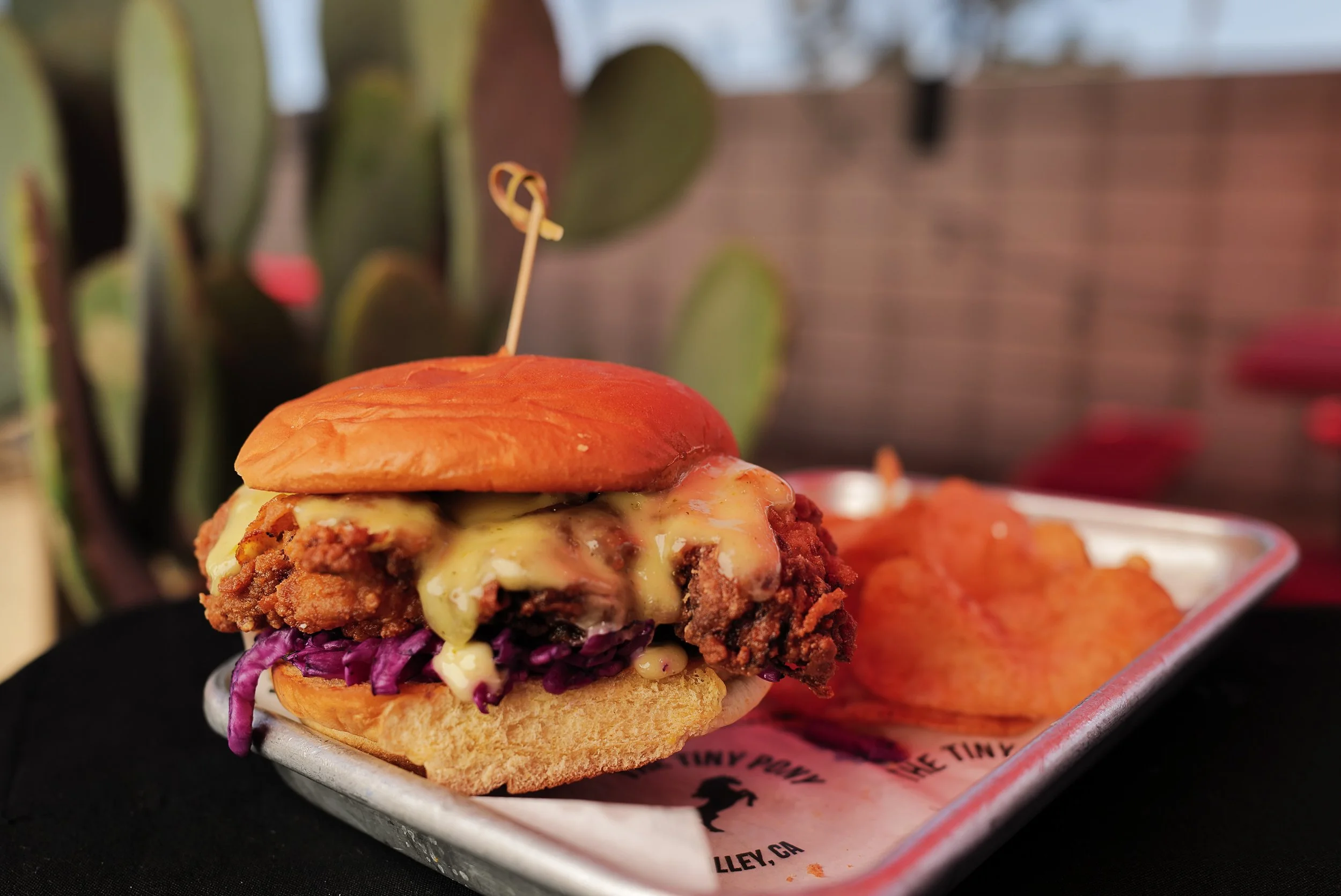 A crispy chicken sandwich with purple slaw and jalapeño cilantro ranch drizzle, on a metal tray with custom Tiny Pony paper and house made potato chips, with a large flat cactus blurred in the background.