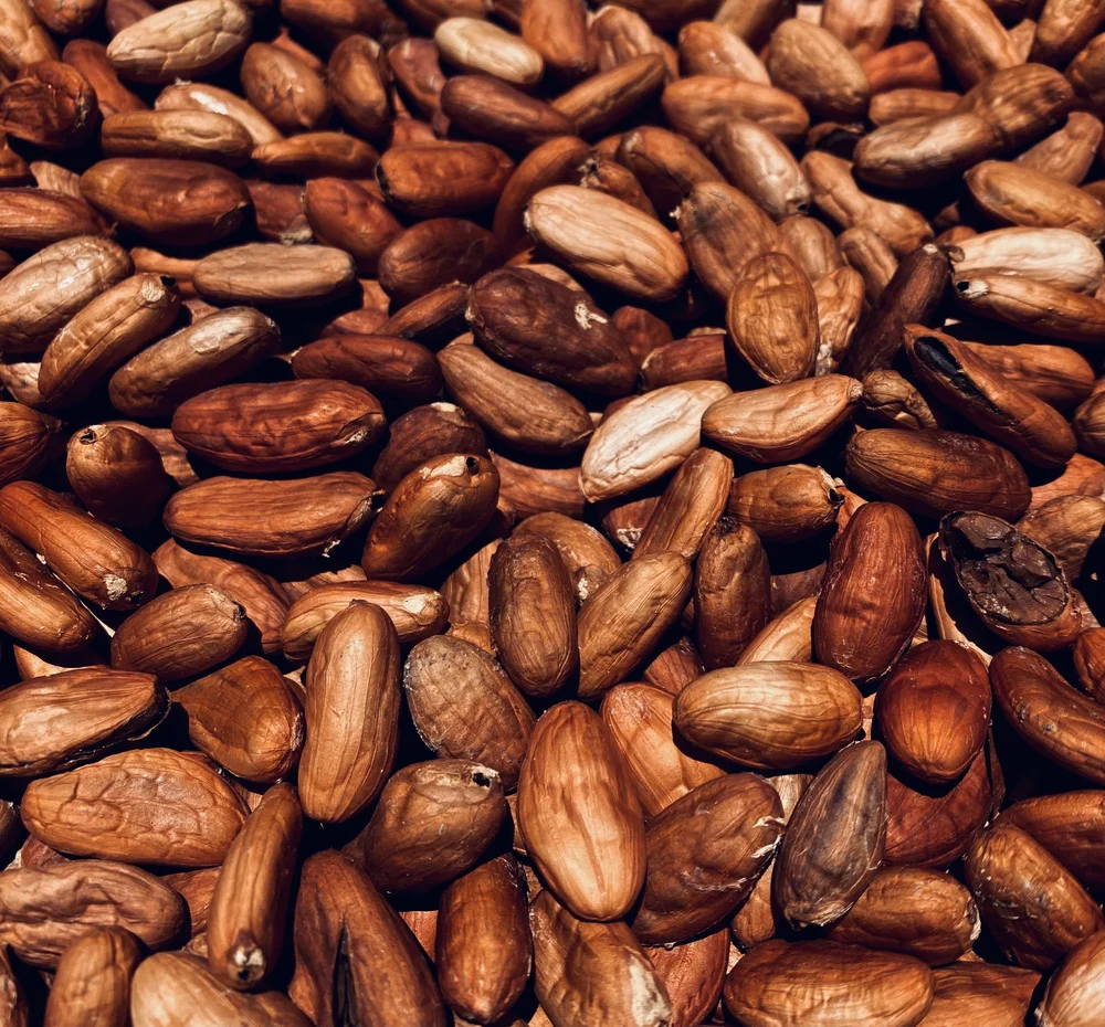 RAW CACAO BEANS.jpeg
