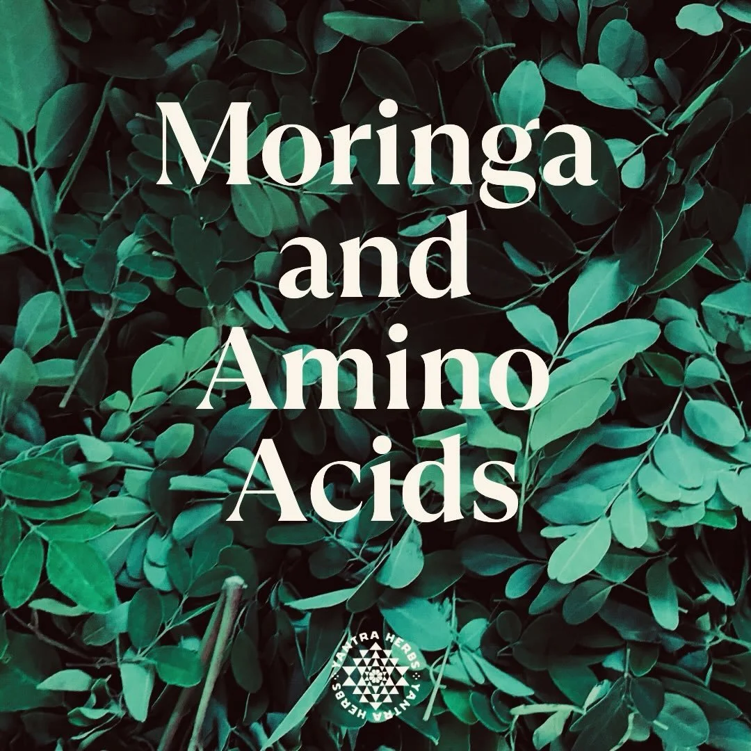 Essential &amp; non-essential amino acids - what are they and why do we need them?

Essential amino acids are not produced by the body but are obtained by the foods we eat.

Non - essential amino acids are the ones your body can make itself.

Growth,