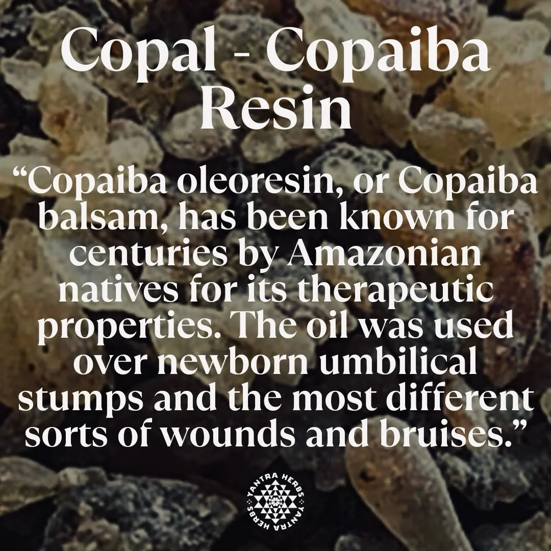 Copal is powerful, effective and diverse in its medicinal and therapeutic applications. making it a staple in South American healing practices for centuries.

Rich in Beta-caryophyllene (BCP), a sesquiterpene also found in Cannabis but in much higher