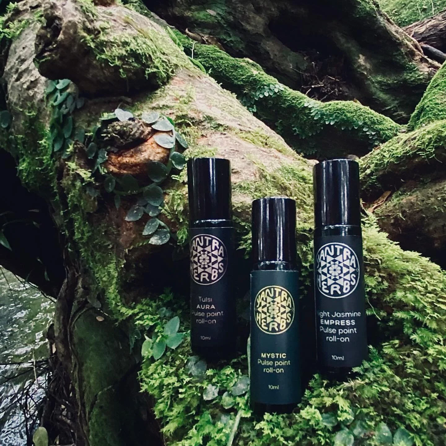 These pure essential oil blends are holistic healing perfumes which work beyond the superficial scent. The natural organic plant oils have the potential to nourish &amp; heal, merging with your body&rsquo;s energy and auric field, and enhancing your 