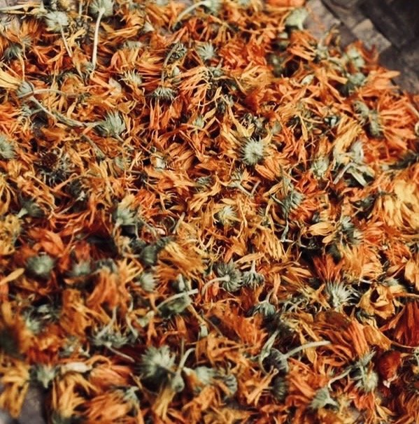 CALENDULA HERBAL MONOGRAPH