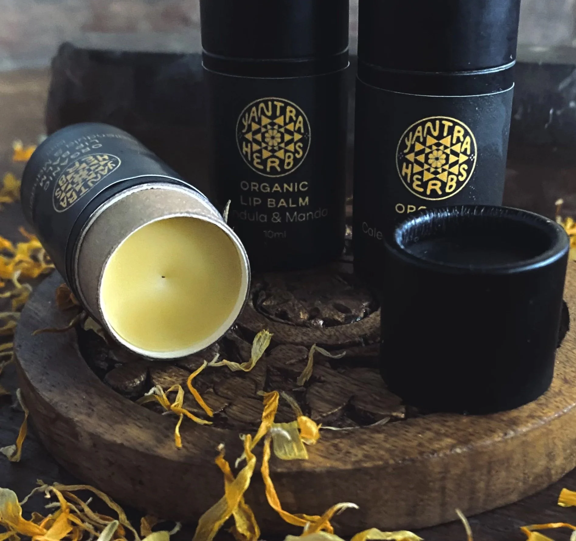 Organic+Calendula+Mandarin+Lip+Balm.jpg