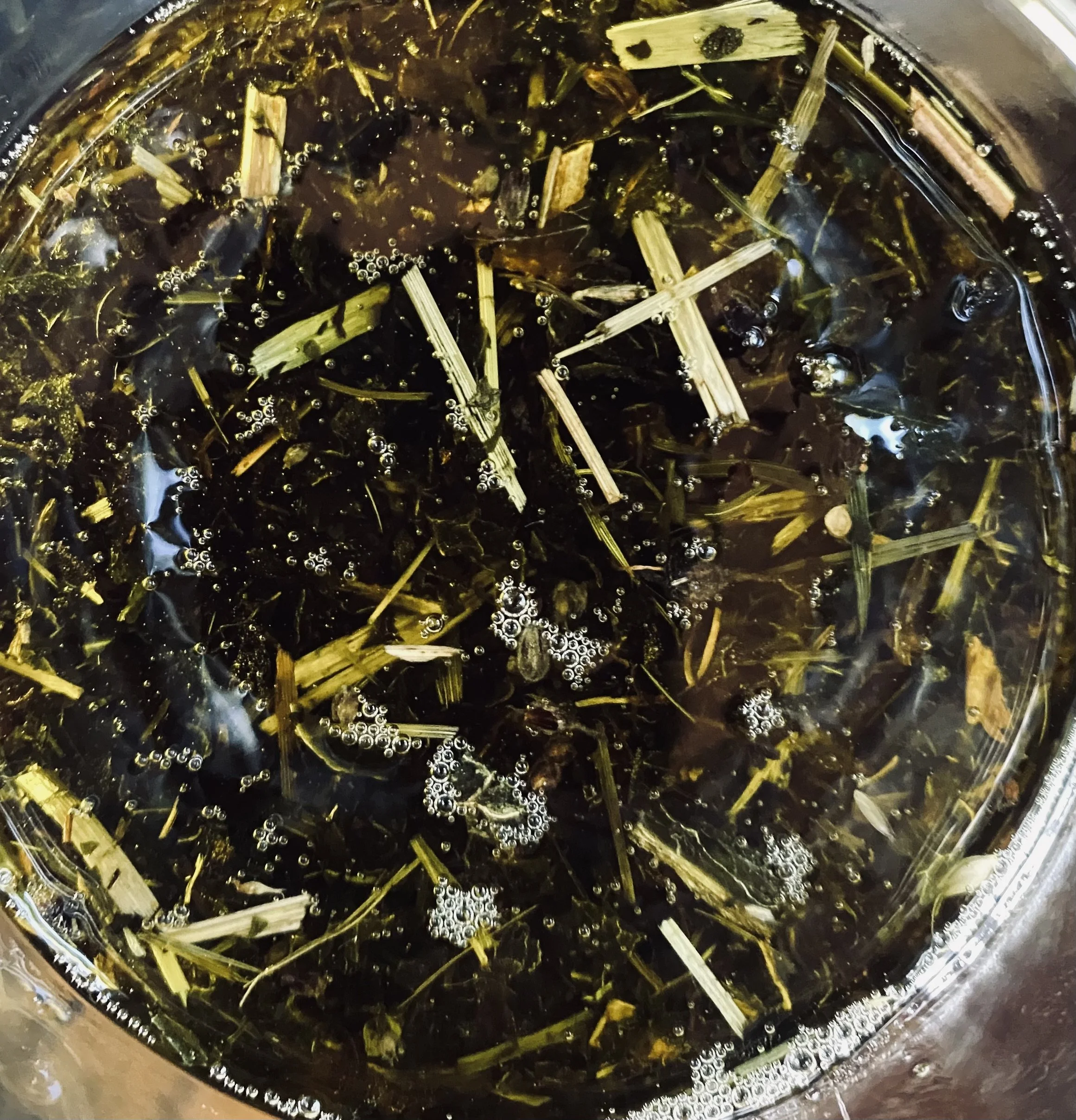 Comfrey leaf & root infused oil.jpeg