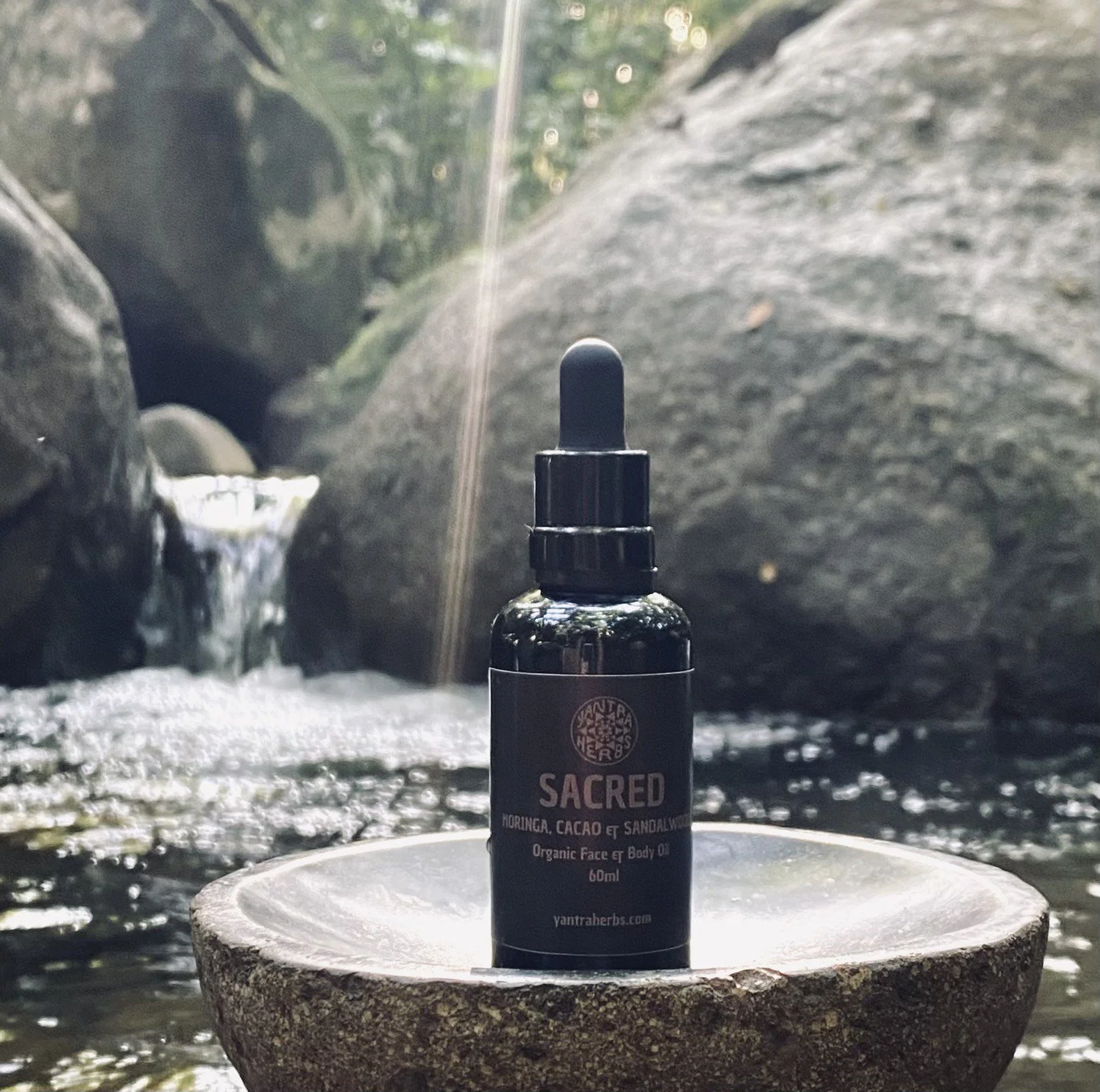 SACRED FACE AND BODY OIL.jpeg