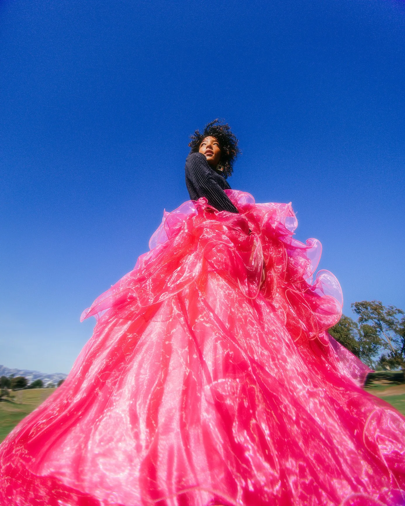 alectra-17 copy.jpeg