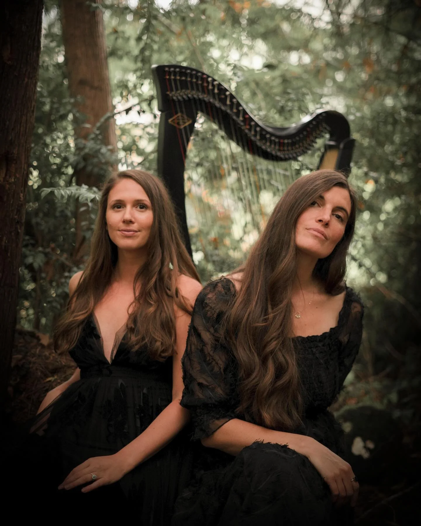 Happy Halloween! 🎃
This week marks a special milestone for us—It’s been one year since we released our very first song as Dear Persephone! We’re so grateful for your support on this musical journey. 🧡
We have a new song coming o