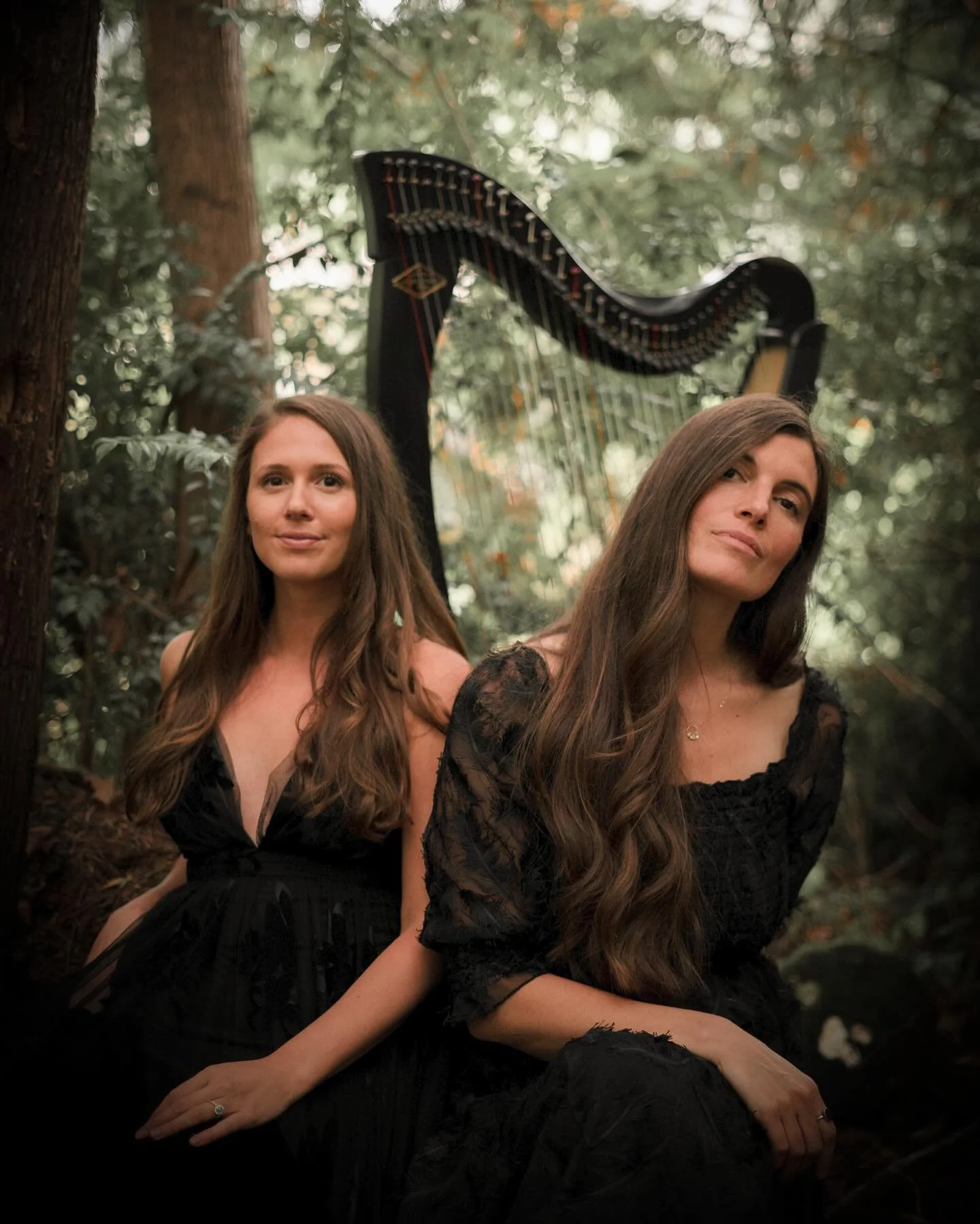 Happy Halloween! 🎃

This week marks a special milestone for us&mdash;It&rsquo;s been one year since we released our very first song as Dear Persephone! We&rsquo;re so grateful for your support on this musical journey. 🧡

We have a new song coming o