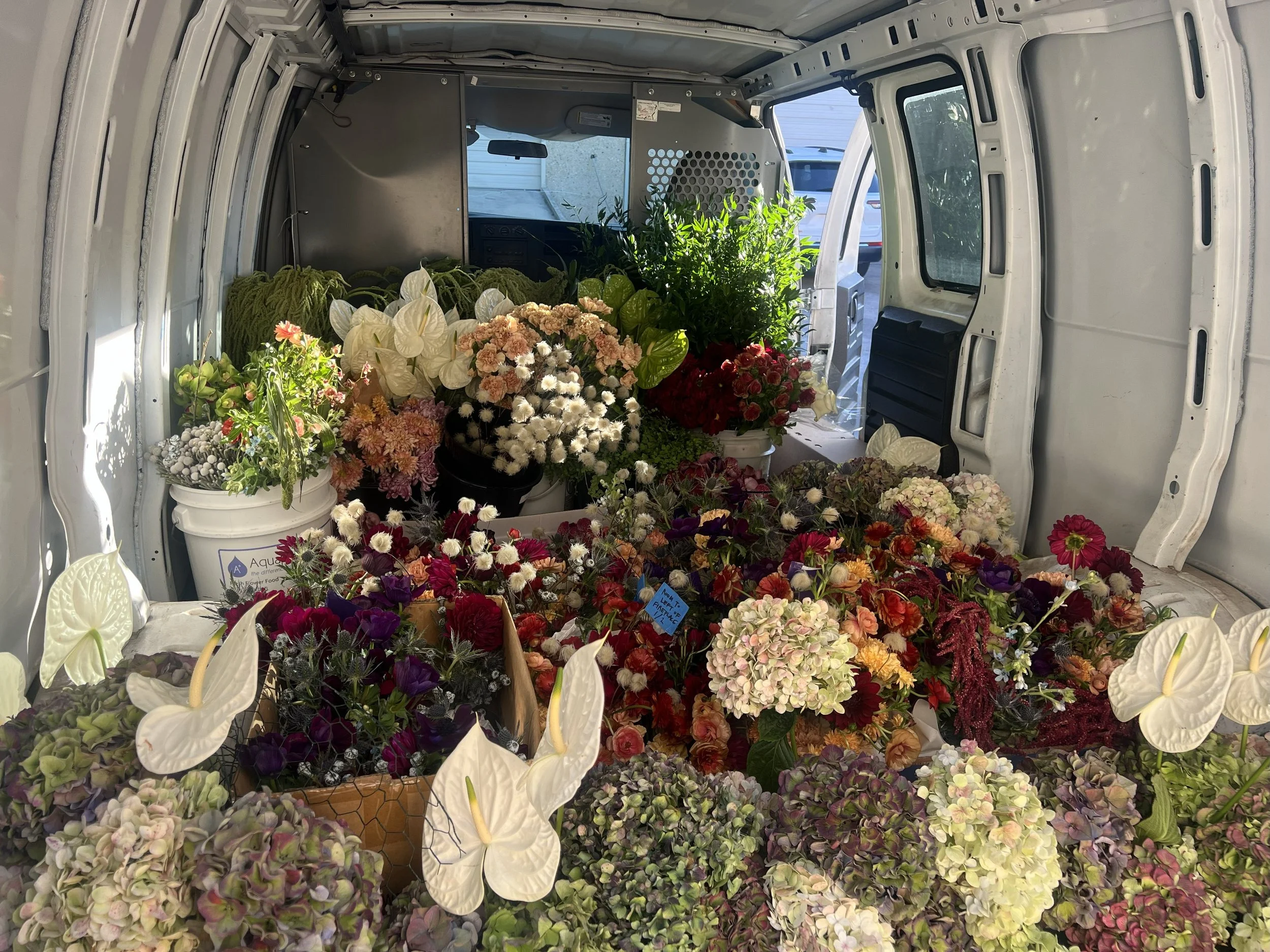 1/2 of the vans filled with flowers