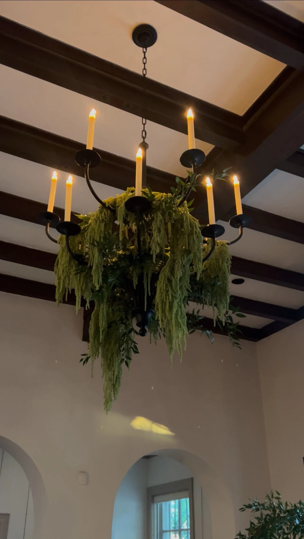 (1) Amaranthus and Italian Ruscus on chandelier