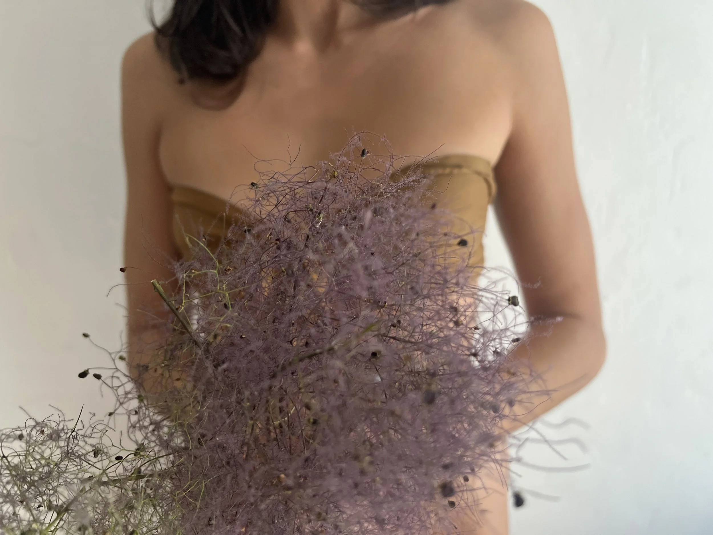 Smokebush2.jpg