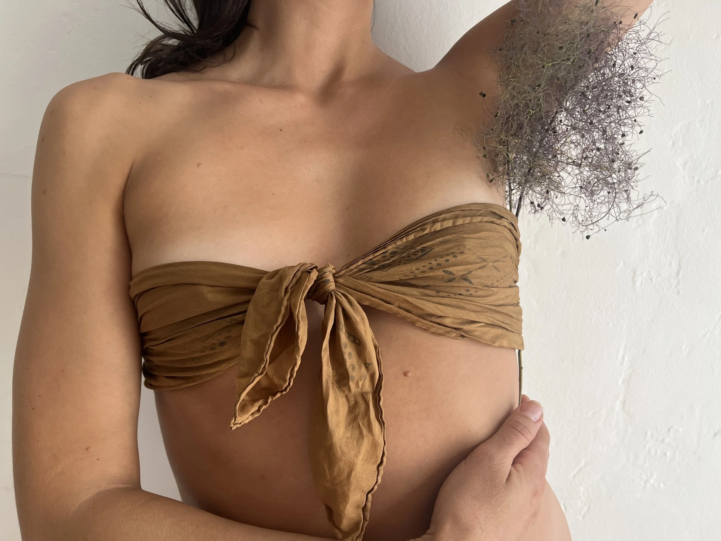 Smokebush3.jpg