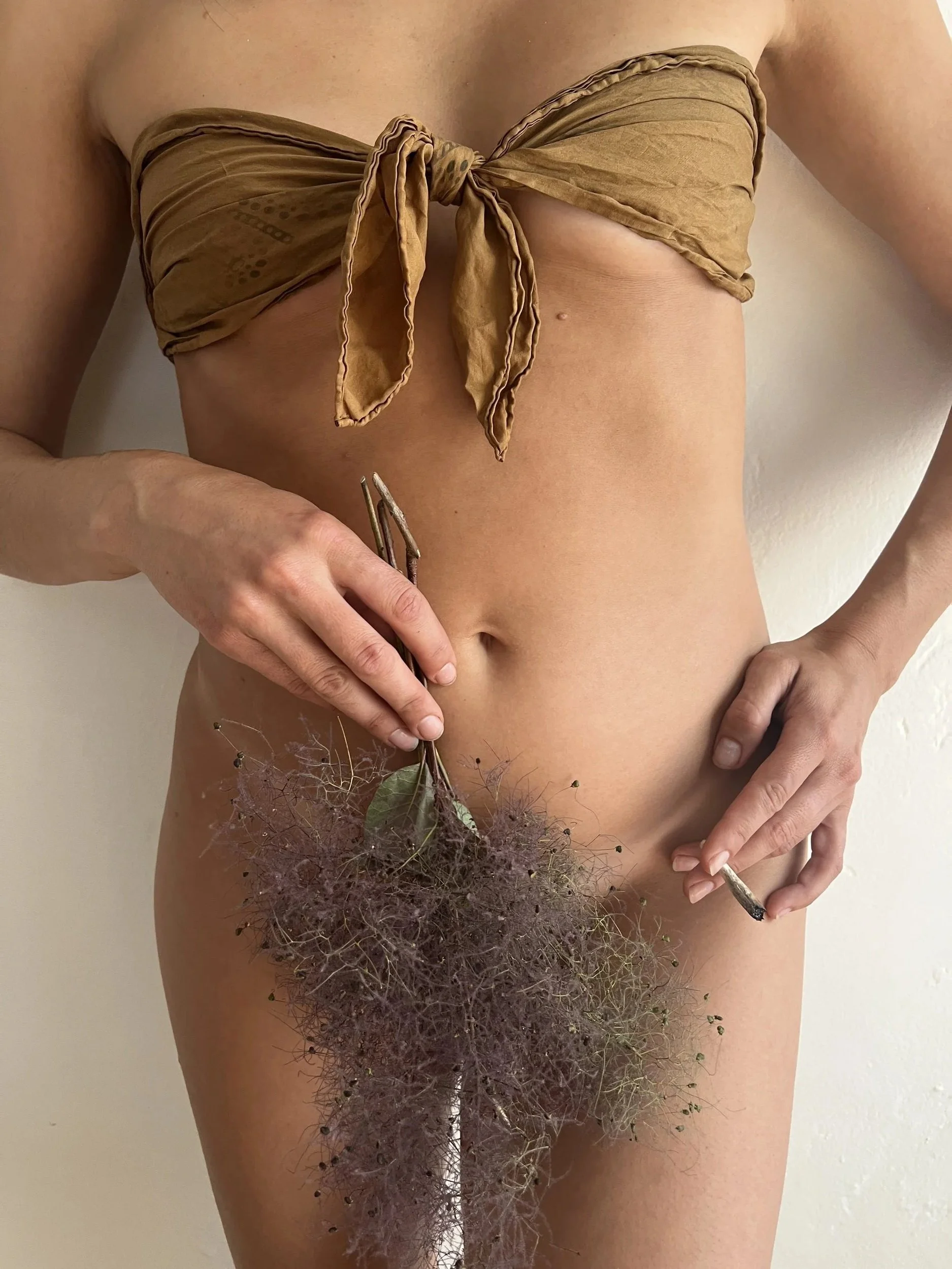 Smokebush8.jpg