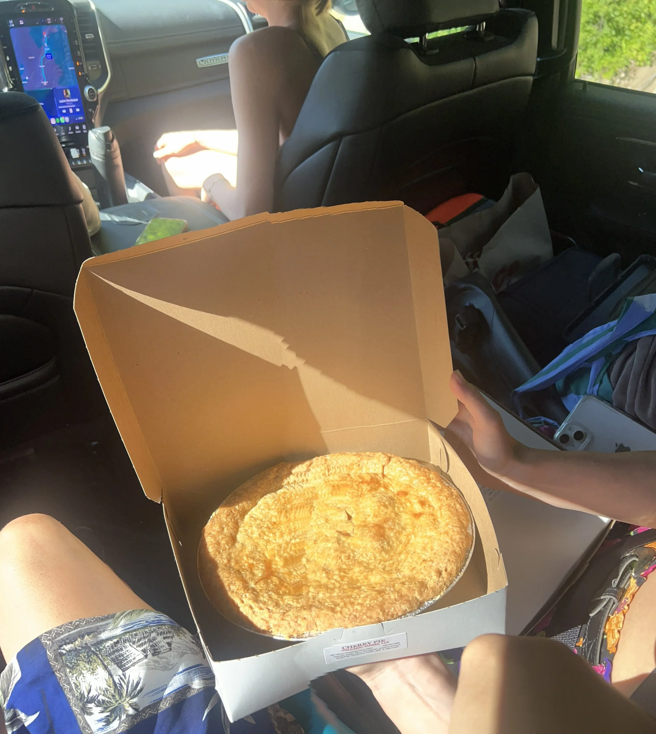 pie.jpeg