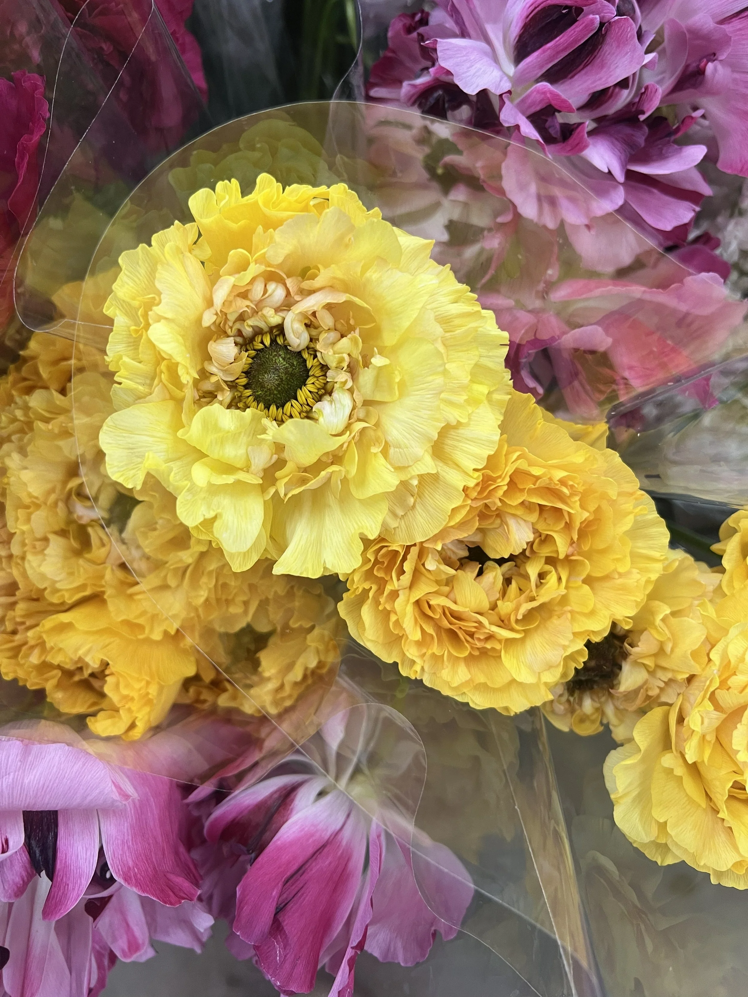 yellowflowers3.jpg