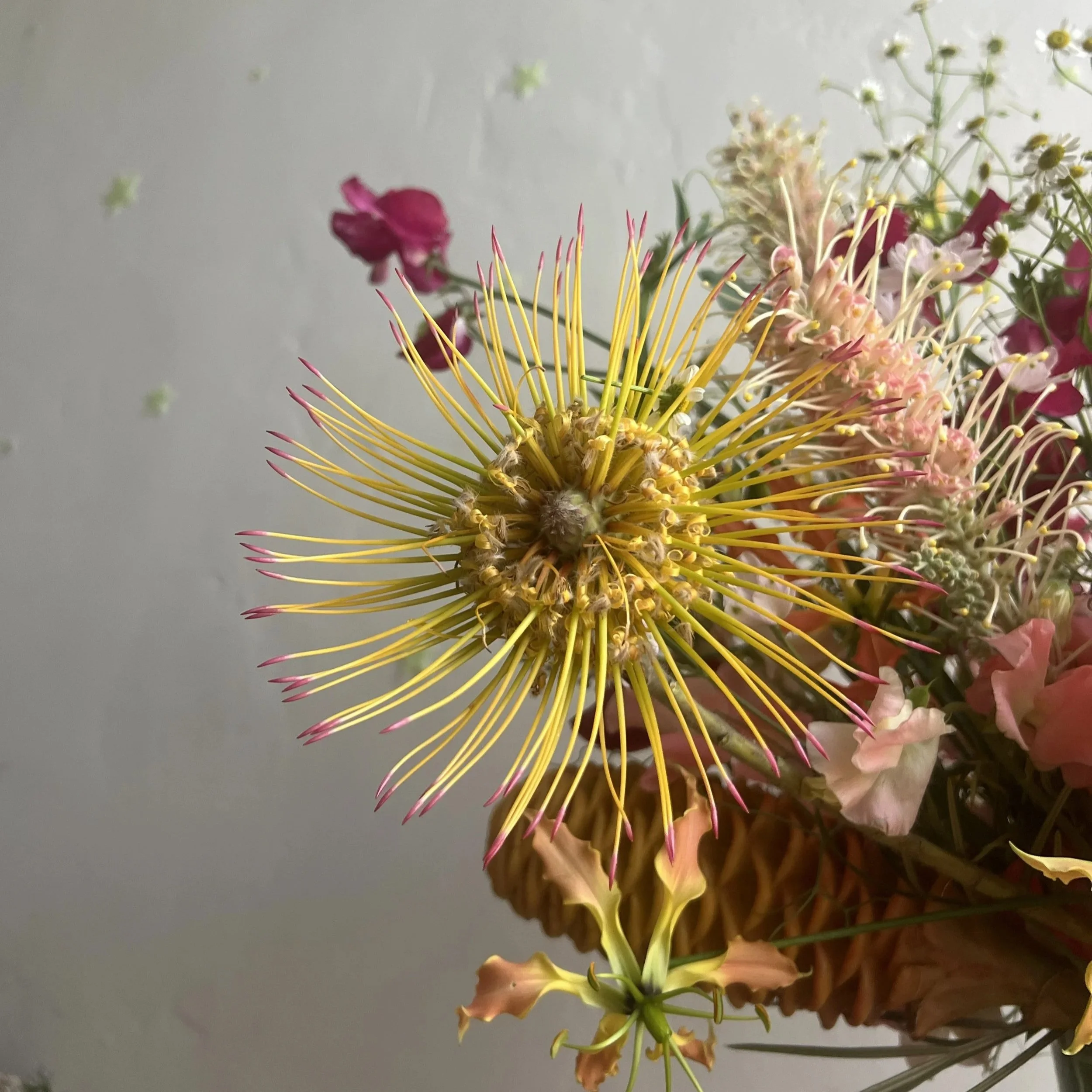 yellowflowers8.jpg