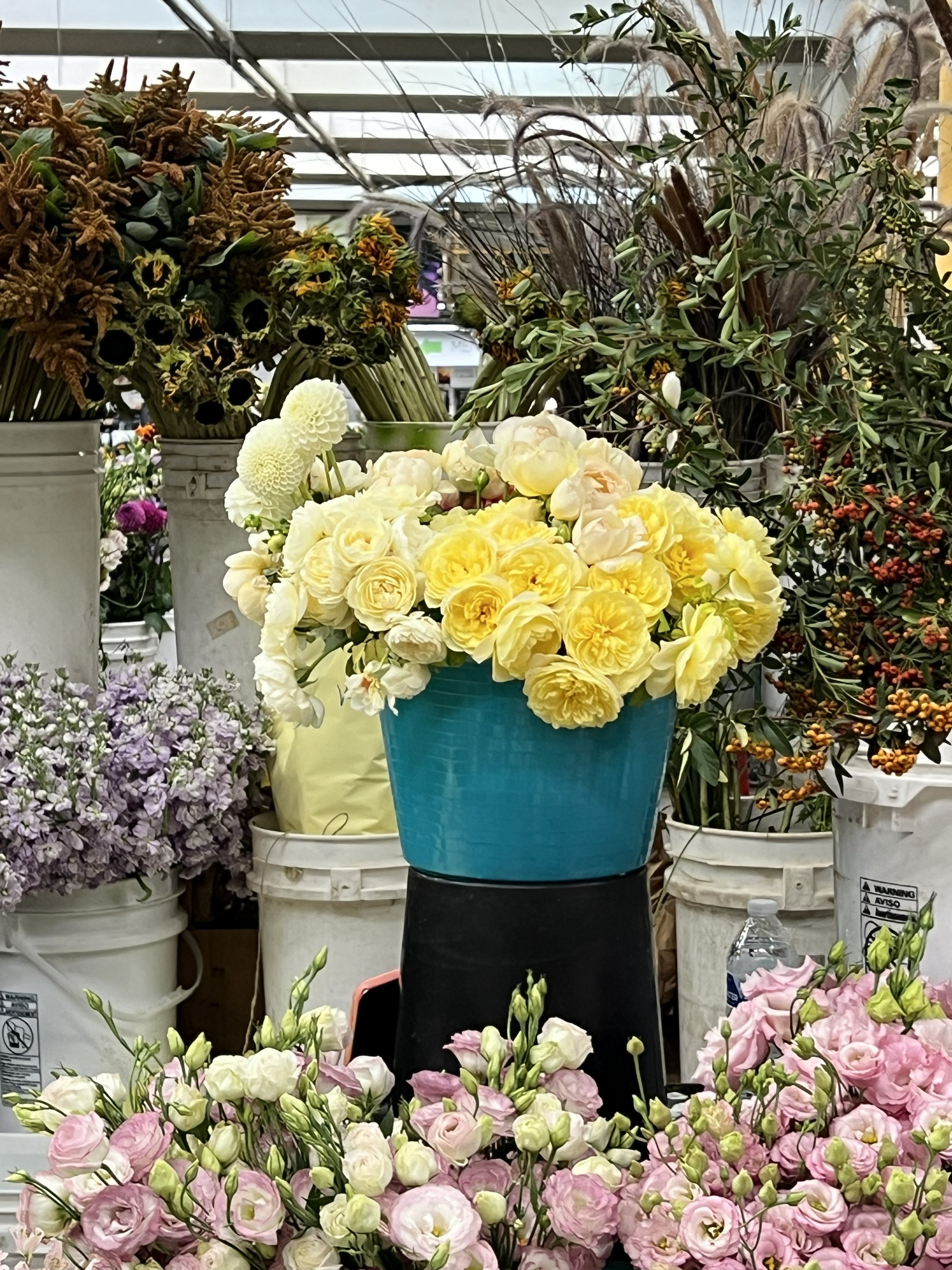 Where Are My Yellow Flowers?