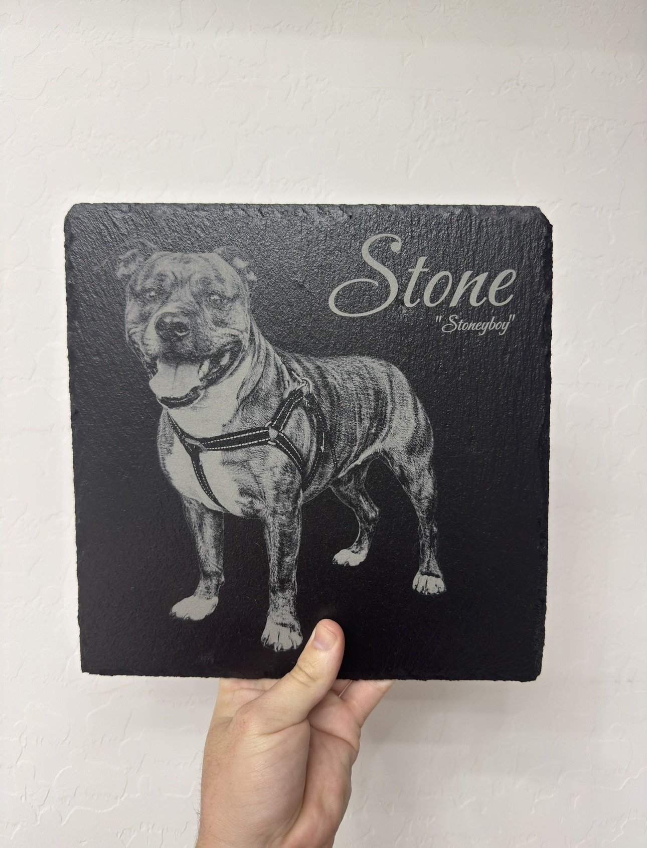 A black and white photo of a dog named Stone, also called Stoneboy, on a textured black background, with text showing the dog's name and nickname.