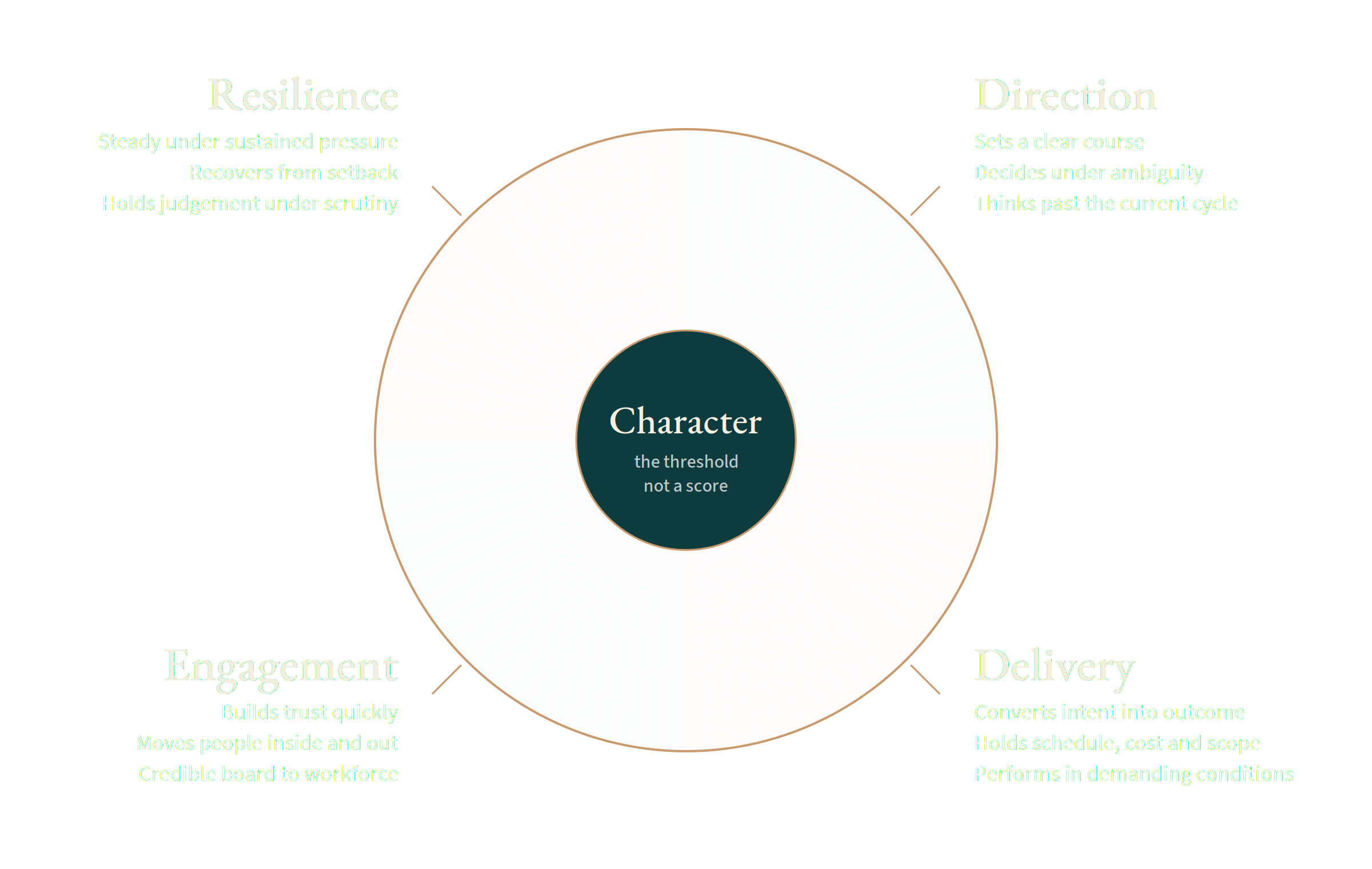 TDN Leadership Compass Executive Search Assessment Framework