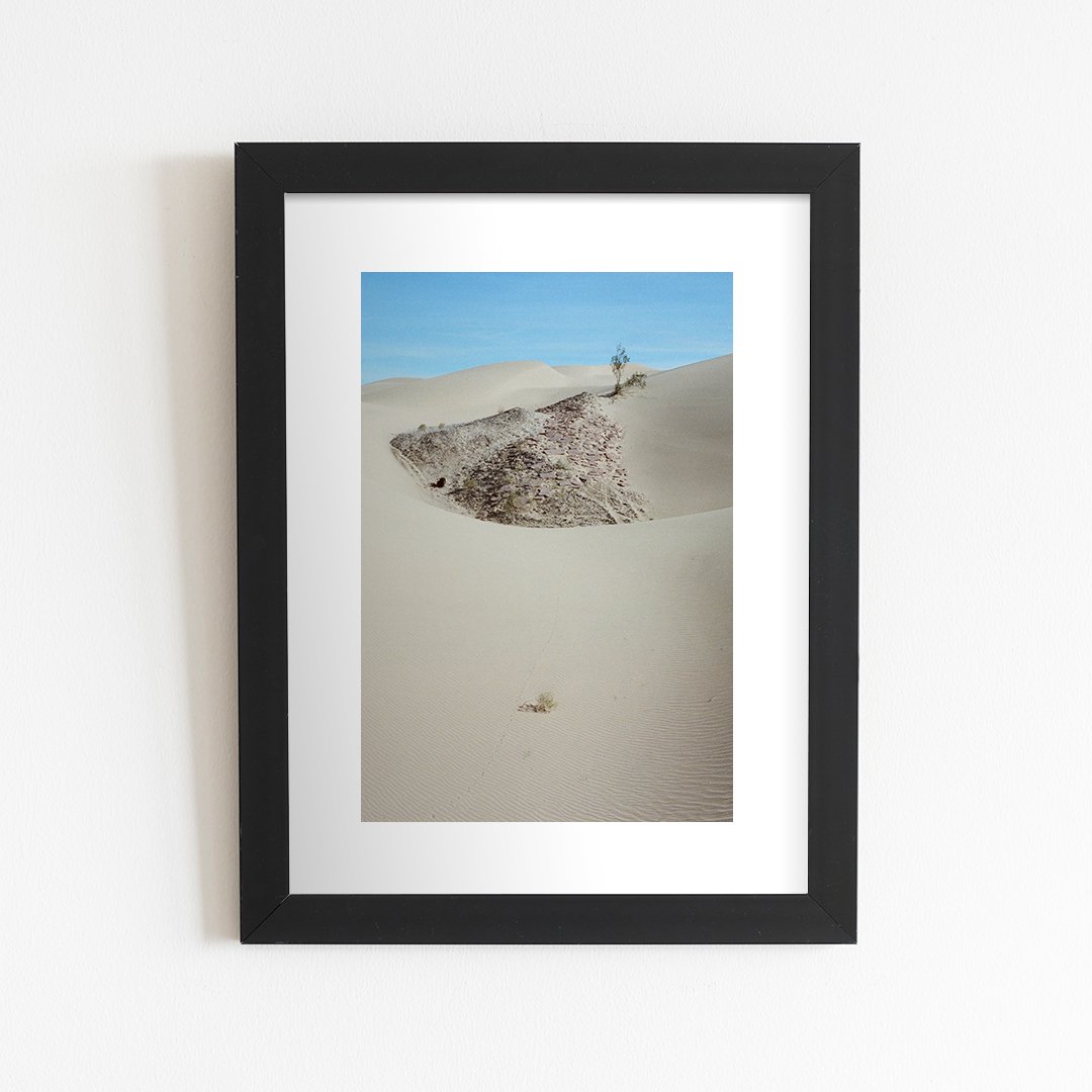 Desert Scape | Signed Print