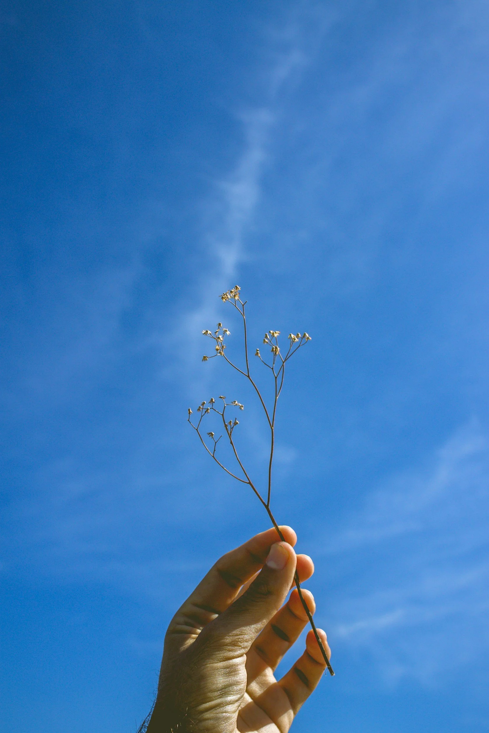 A Celebration of Laudato Si’ - 10 years on