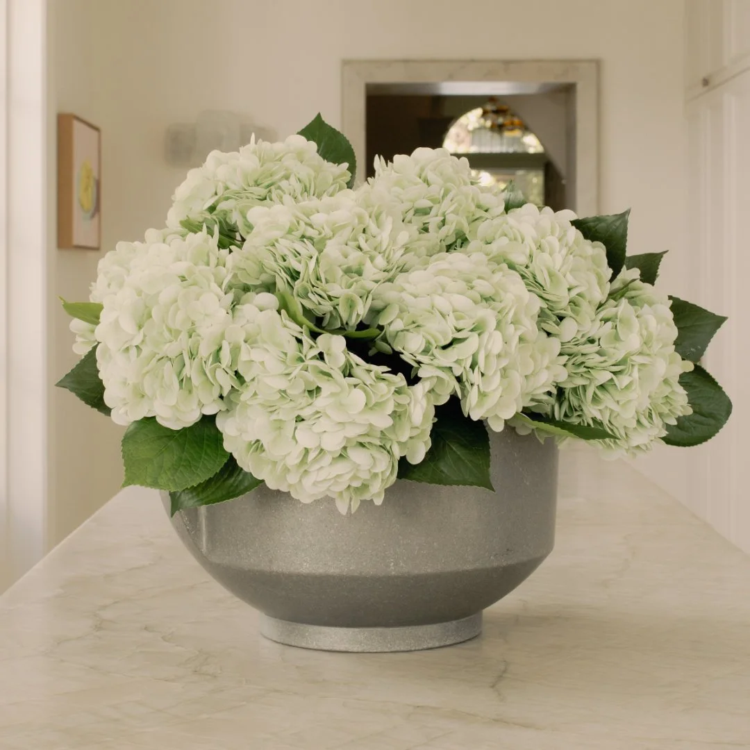Hydrangeas Pale Green (5 Stems per Bunch)