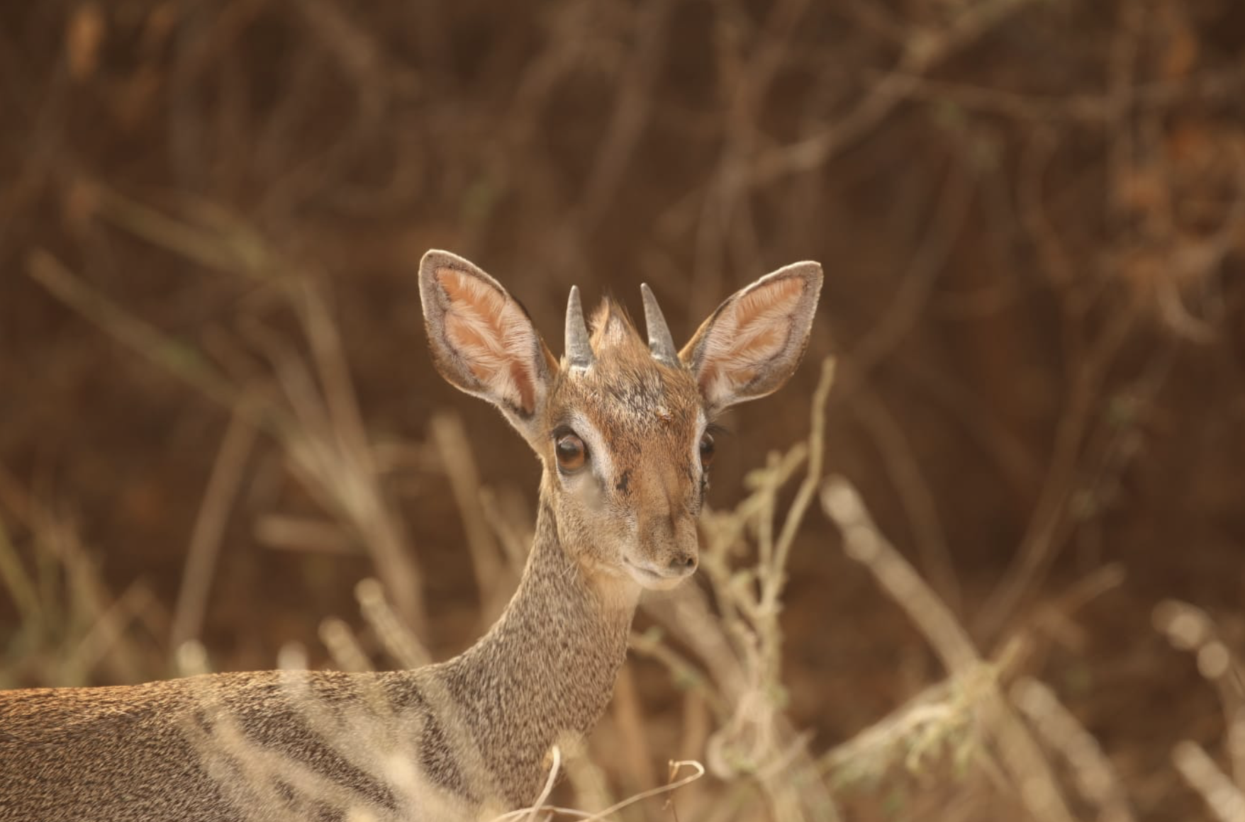 Image 8-28-26 at 7.56 PM.png