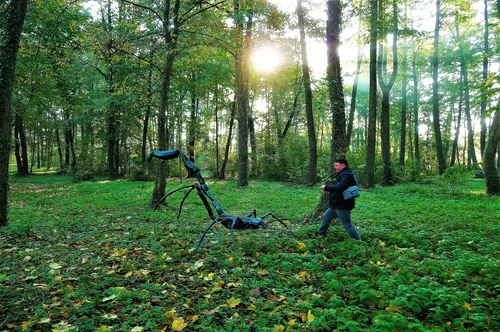 Peter Pohl — PINKPARADISE