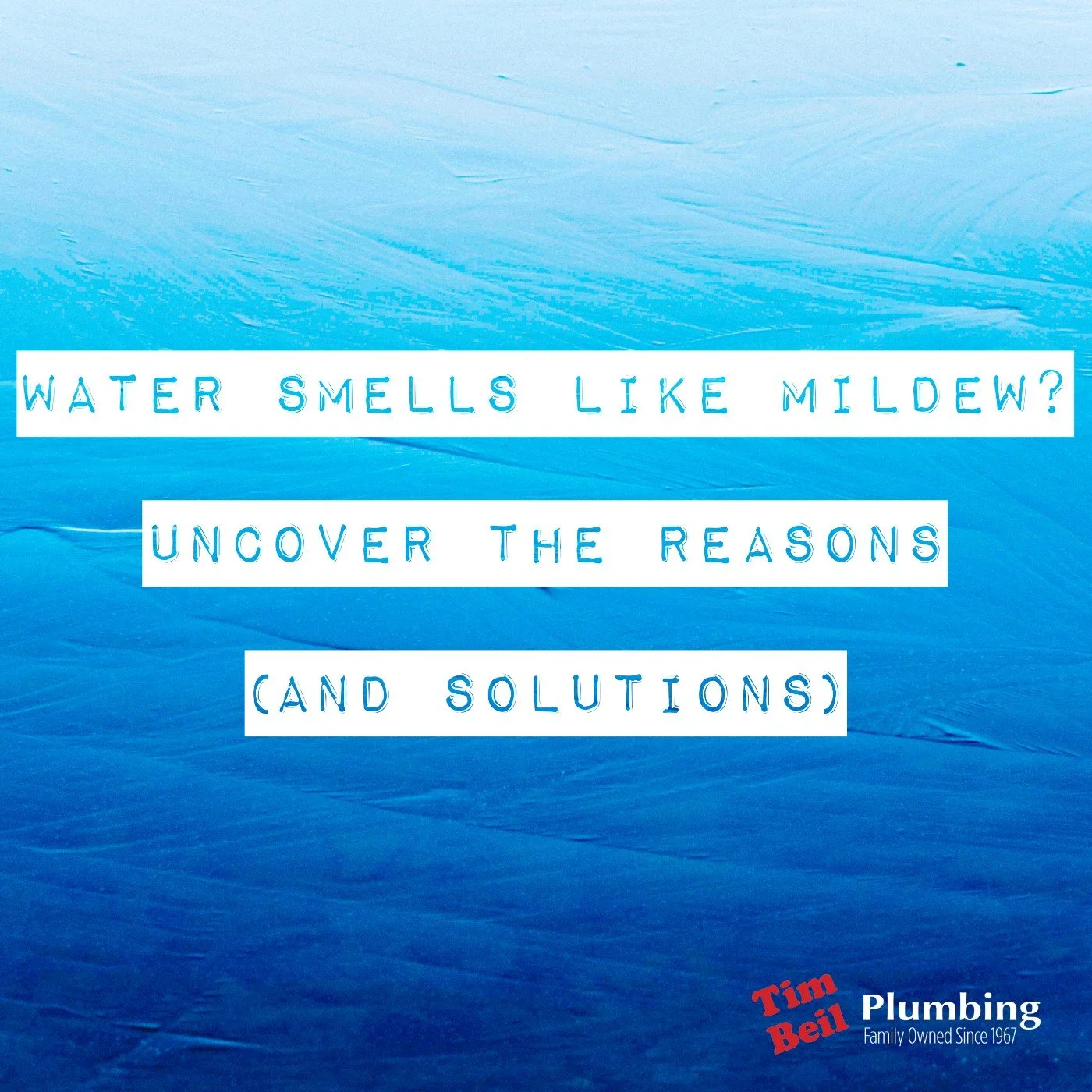 Water Smells Like Mildew? Uncover the Reasons (and Solutions)