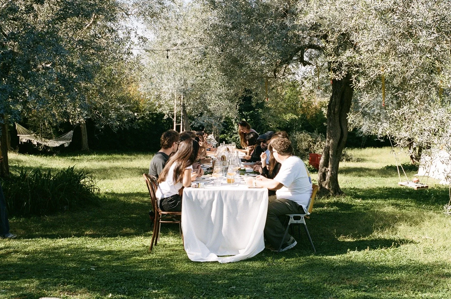 Olive Oil Harvest Feast at Casa Melangolo 