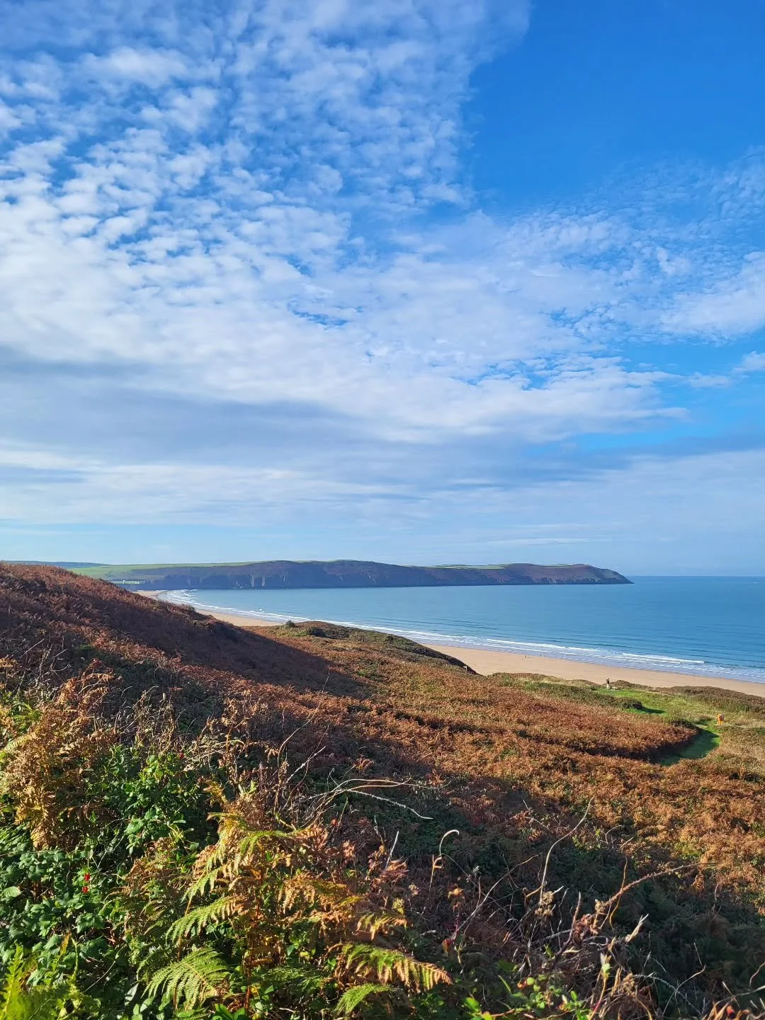 Last day of September and what a beauty!

Open every day in October from 9.30 til 4.30

Full menu restock today, cakes and savouries a plenty.  Seasonal soups make a welcome return tomorrow and the current range of sarnies is mighty fine if we do say