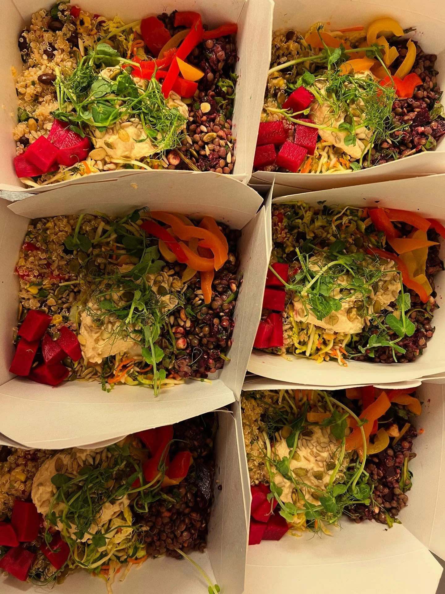 Autumn feasting
The last of the summer pickled peppers, pickled kohlrabi coloured with beetroot and roasted beetroot, lentils and blackberry dressing (nearly at an end!) local apples grated into the slaw with the first winter savoy and winter carrot