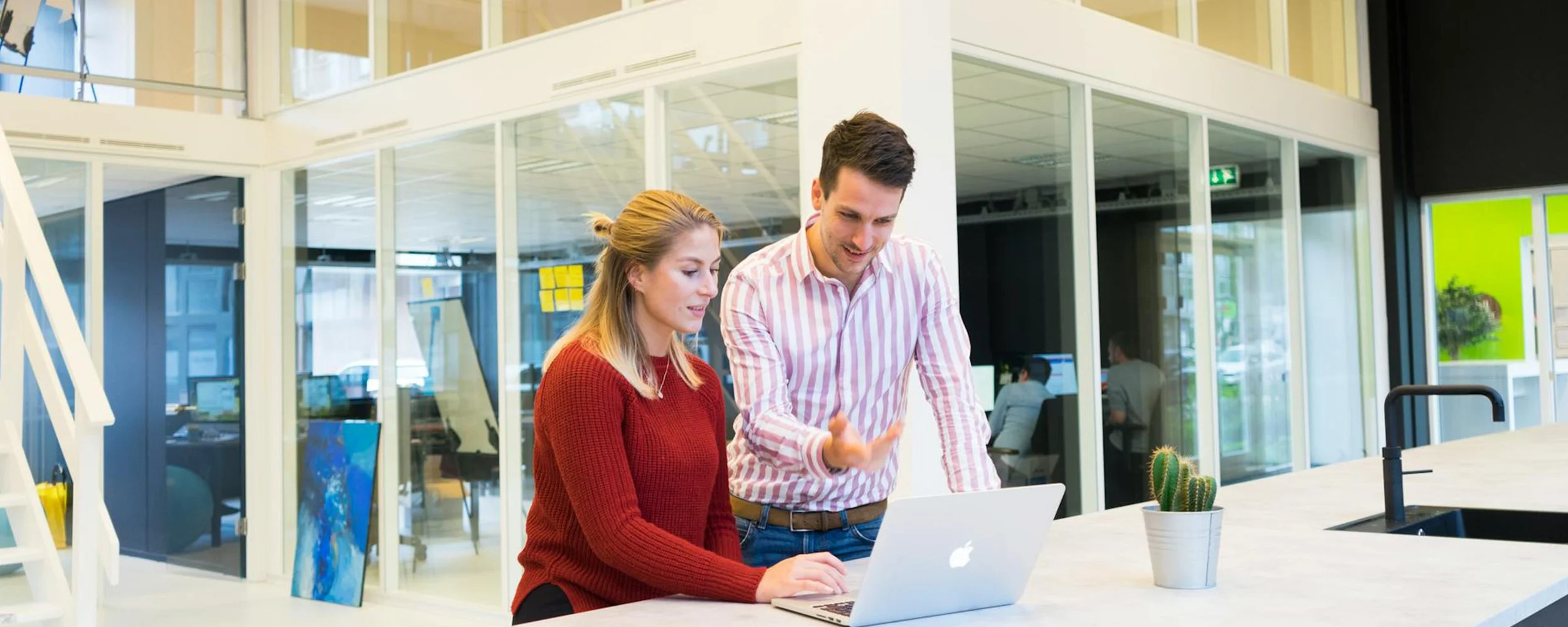 What Apprentices and Providers Say About Notebook Assessment