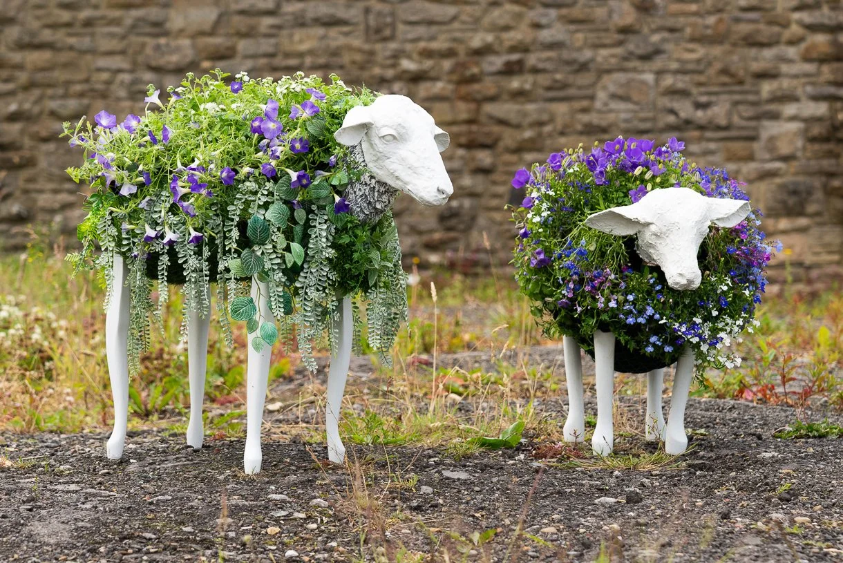 FLOWERSHEEP-87.jpg
