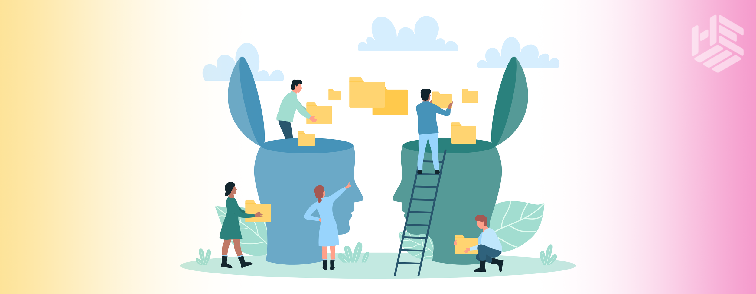 How Graduates Can Develop Transferable Skills — HE Professional
