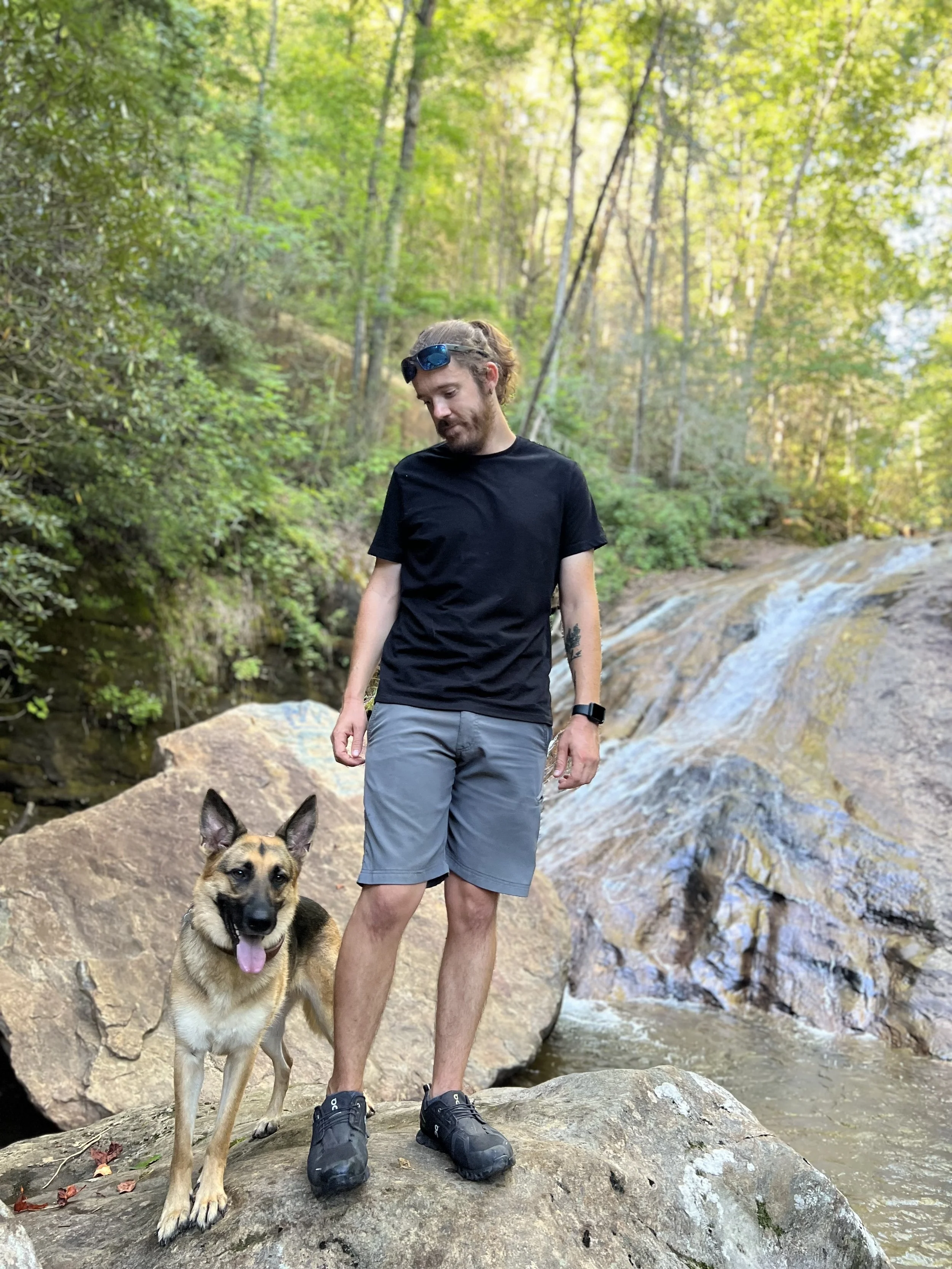 dog training, boarding, and dog park in Warner Robins, GA