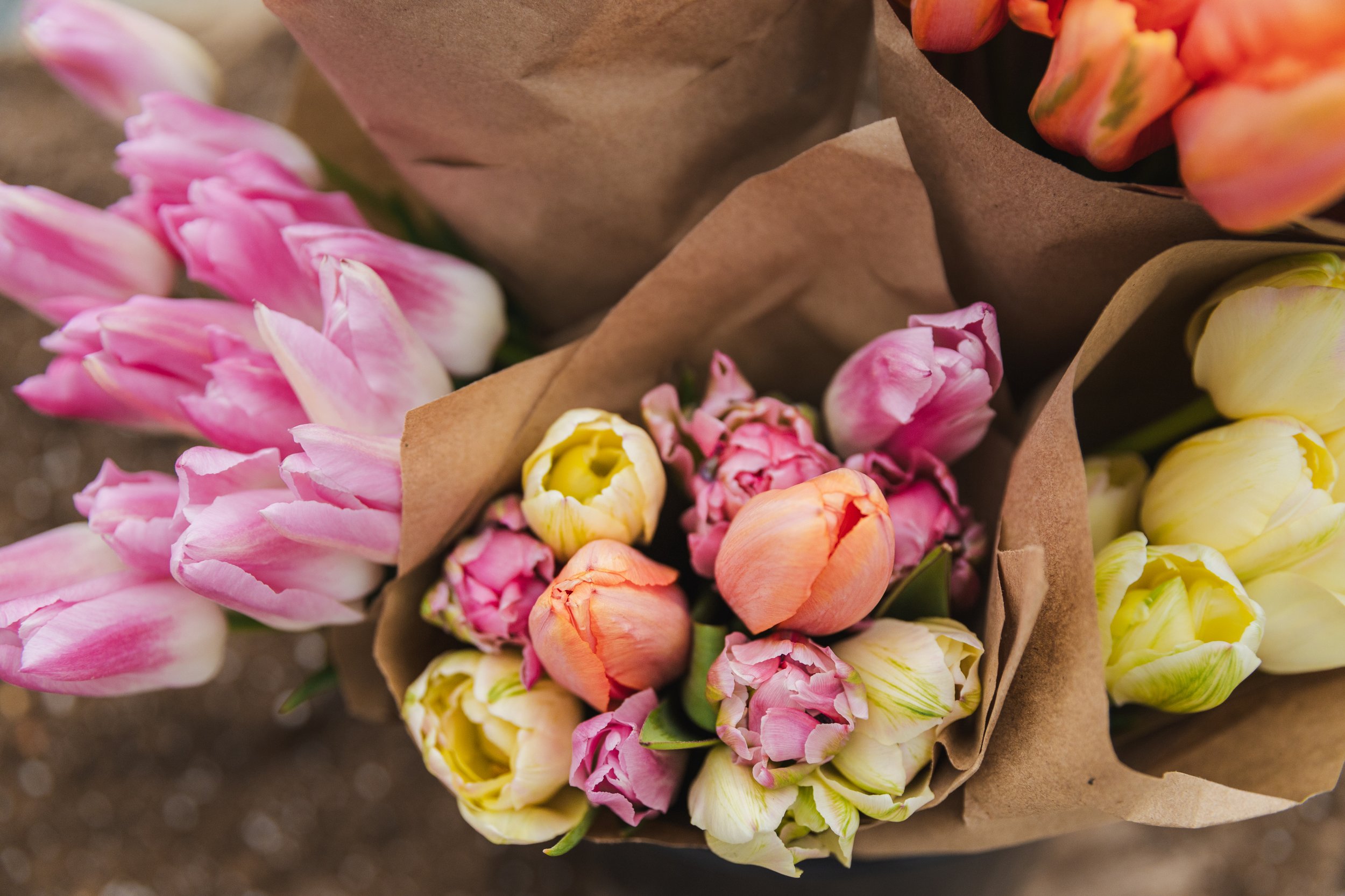West_Michigan_Flower_Farmer_Branding_Photographer_7.jpg