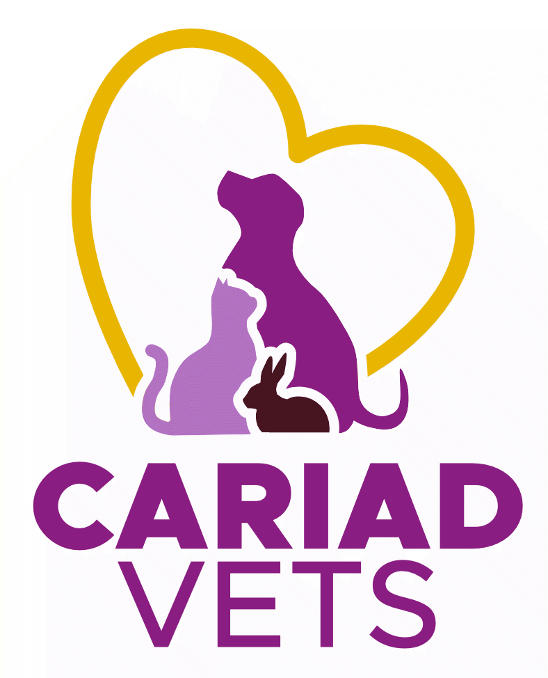 Cariad Vets