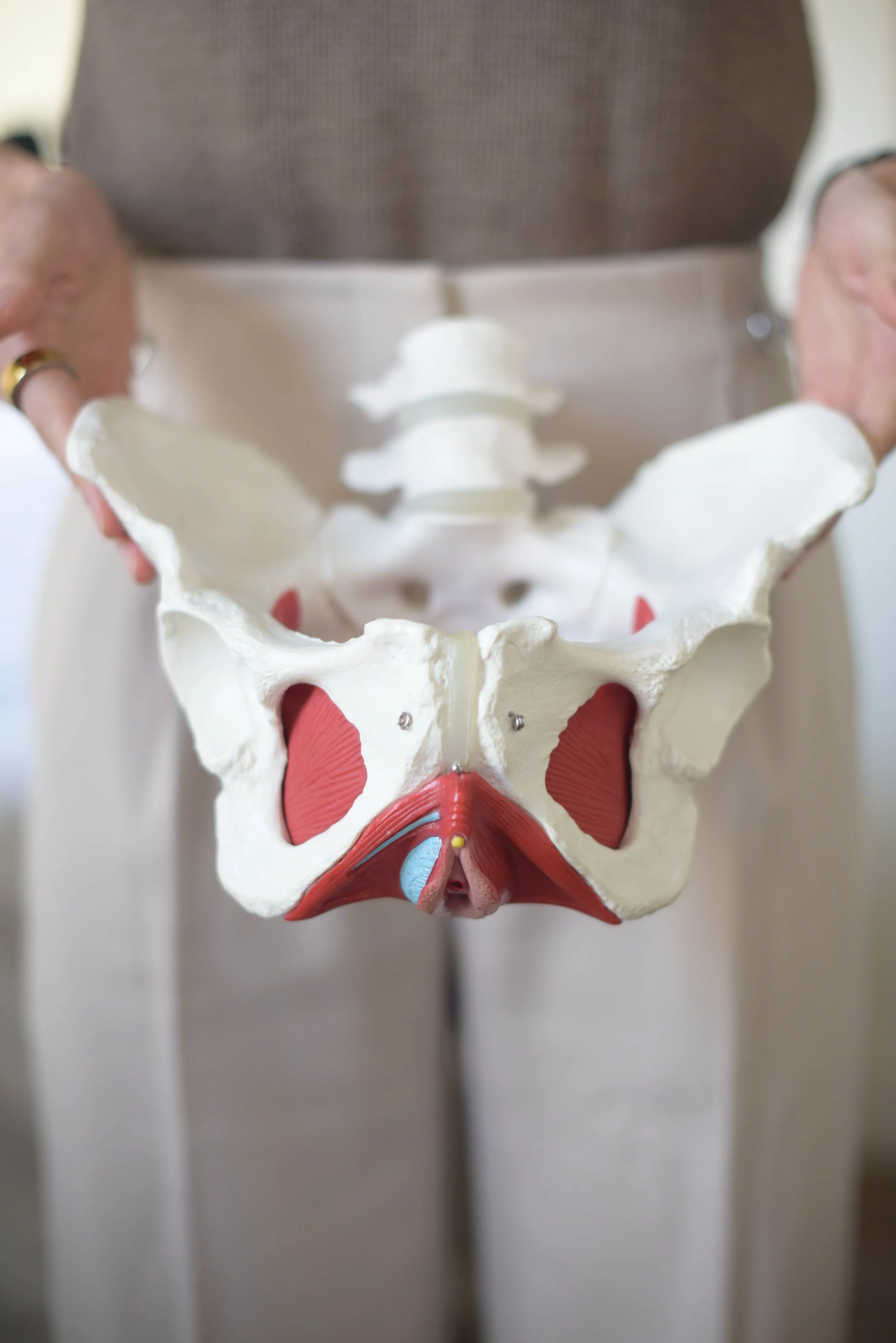 Pelvic Organ Prolapse: Support, Strategy, and the Missing Pieces of Care