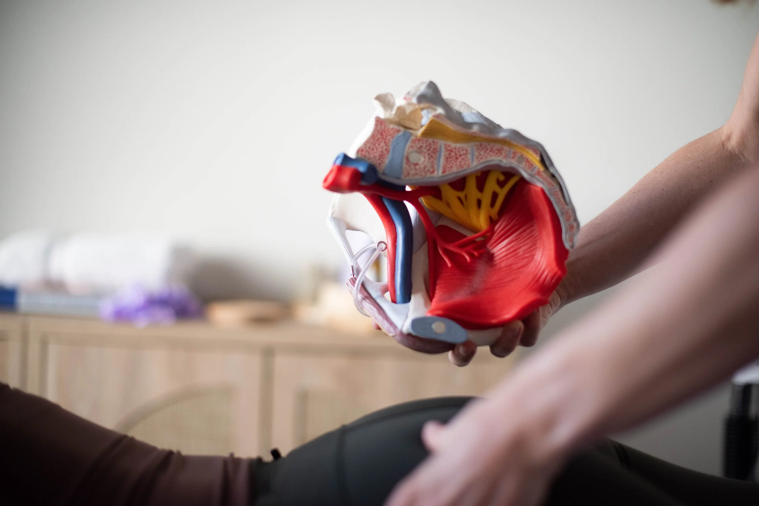 Why Does My Tailbone Hurt? Understanding Coccydynia Beyond the Coccyx