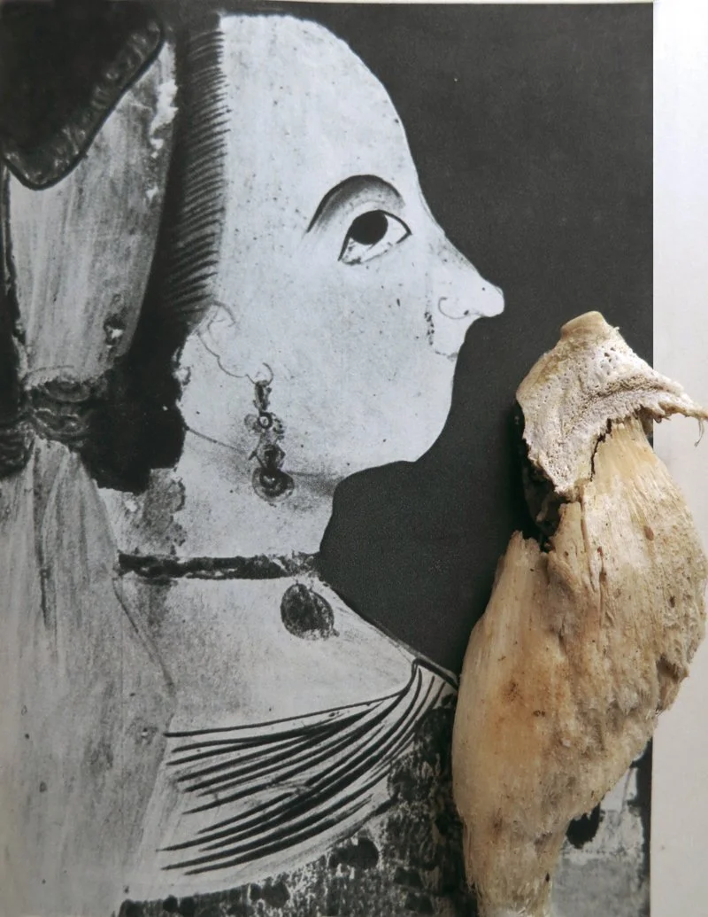  Uncovering Work of Polish Folk Art, Date Unknown  
2012  
40” By 27.922’’  
C-Print   