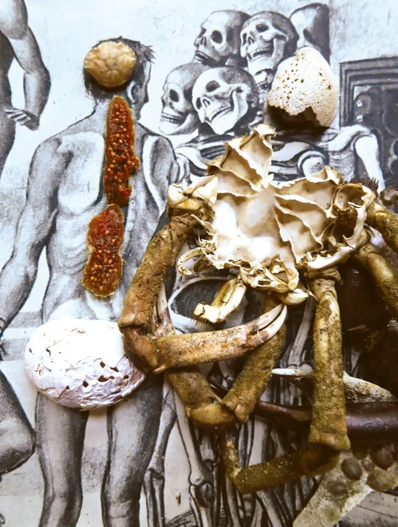  Luca Signorelli,  
Uncovering The Resurrection (Detail), 1499-1502  
2012  
40” By 30.034”  
C-Print   