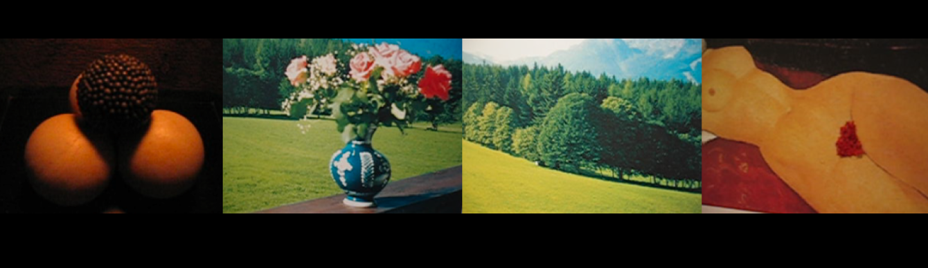 Picture-239-copy-4_2x.png
