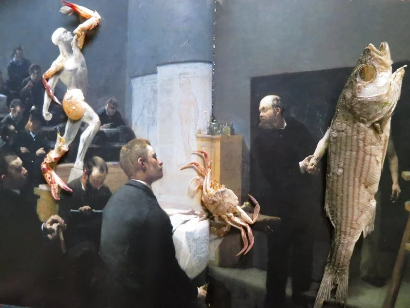  Francois Salle,  
Uncovering The Anatomy Lesson at The Ecole des Beaux Arts, Paris, 1888  
2012  
40” By 30”  
C-Print   