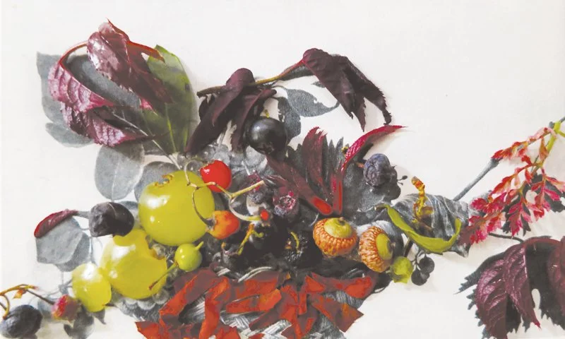  Michelangelo Merisi da Caravaggio,  
Uncovering Fruit and Foilage, 1599  
2012 
24” By 40” 
C-Print   