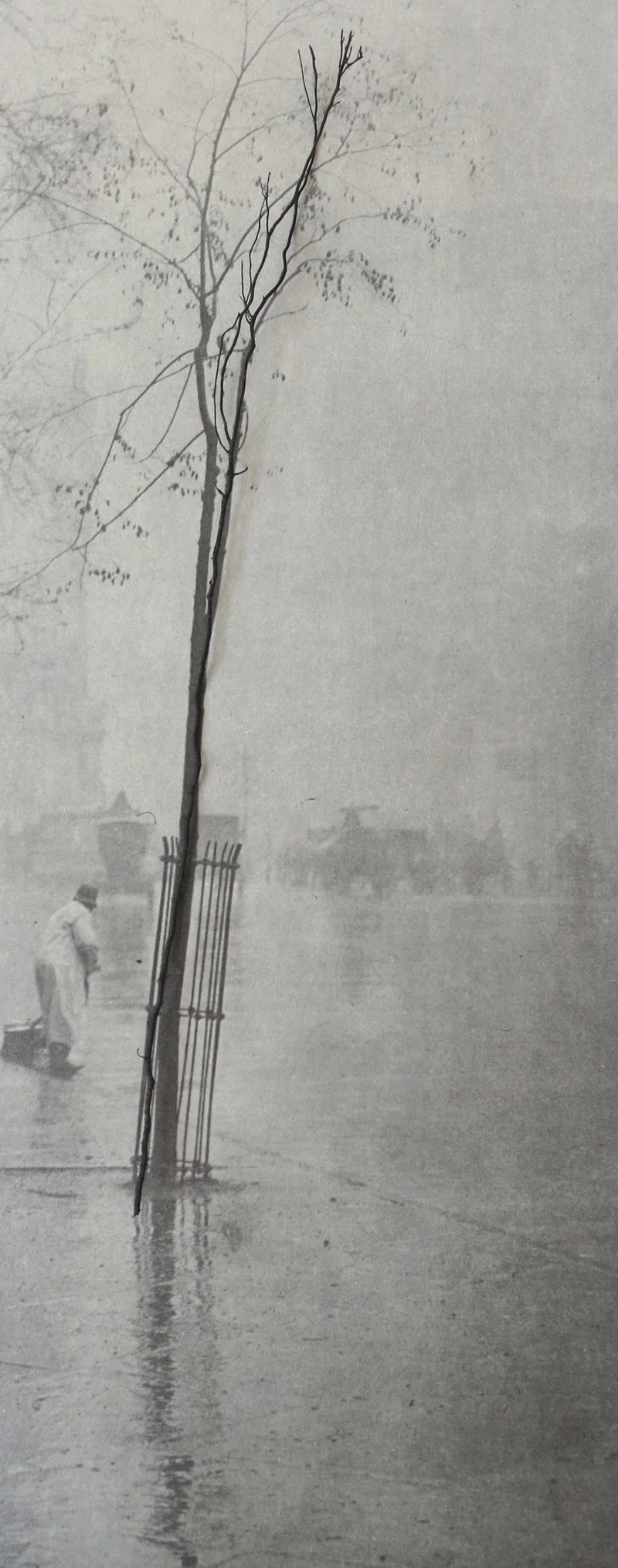  Alfred Stieglitz,  
Uncovering Spring Showers, New York, 1900  
2012  
40” By 15.766”  
C-Print   