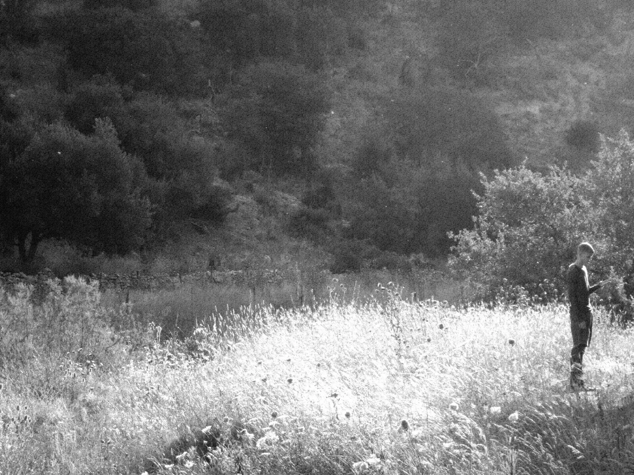 Nighttime outdoor scene with trees, grass, and a person walking on the right side.